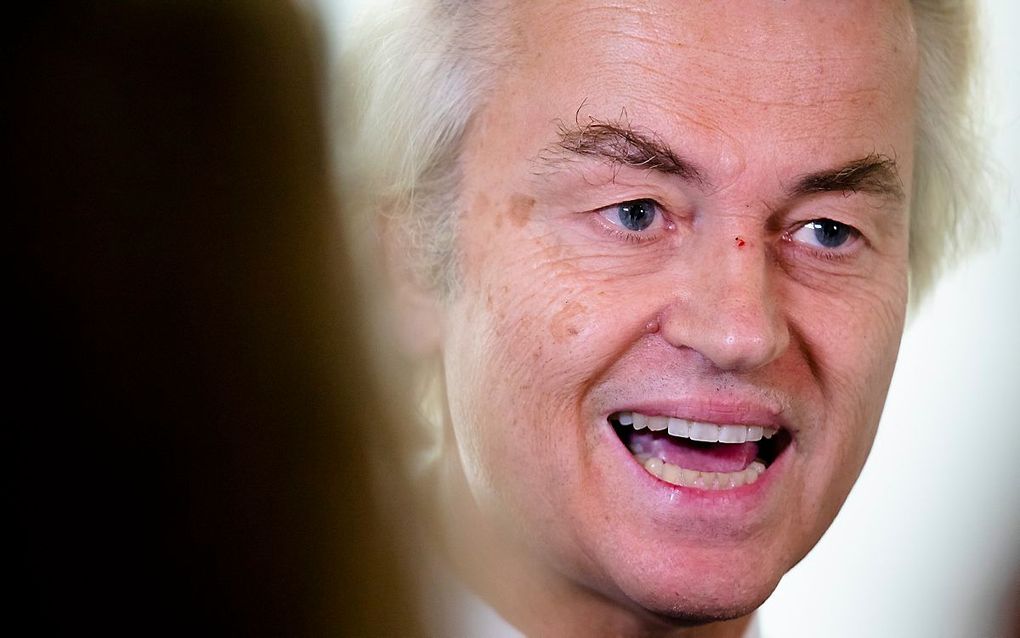 PVV-leider Wilders. beeld ANP