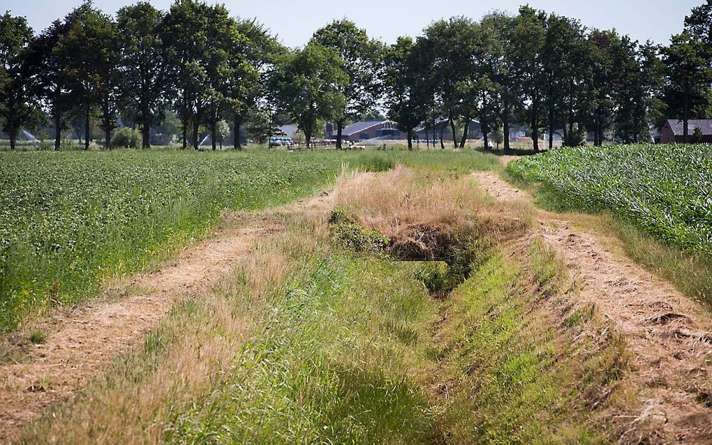 Droogte in het oosten van het land. beeld ANP