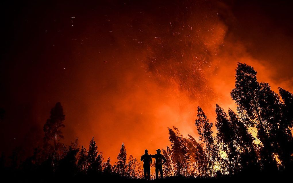 Bosbrand in Portugal. beeld AFP