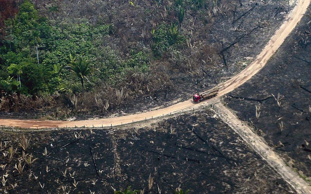 Een verbrand deel van het Amazoneregenwoud, gezien vanuit de lucht. beeld AFP