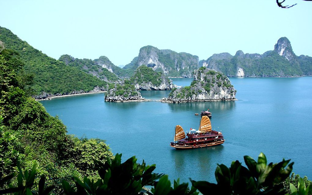 Halong Bay in Vietnam. beeld Wikimedia