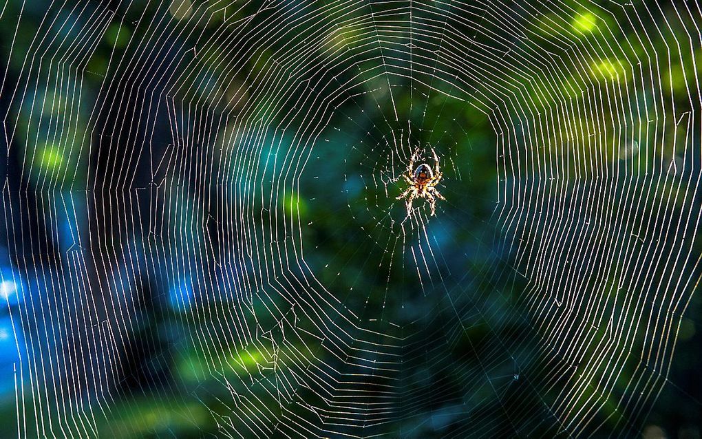 beeld Getty Images/iStockphoto