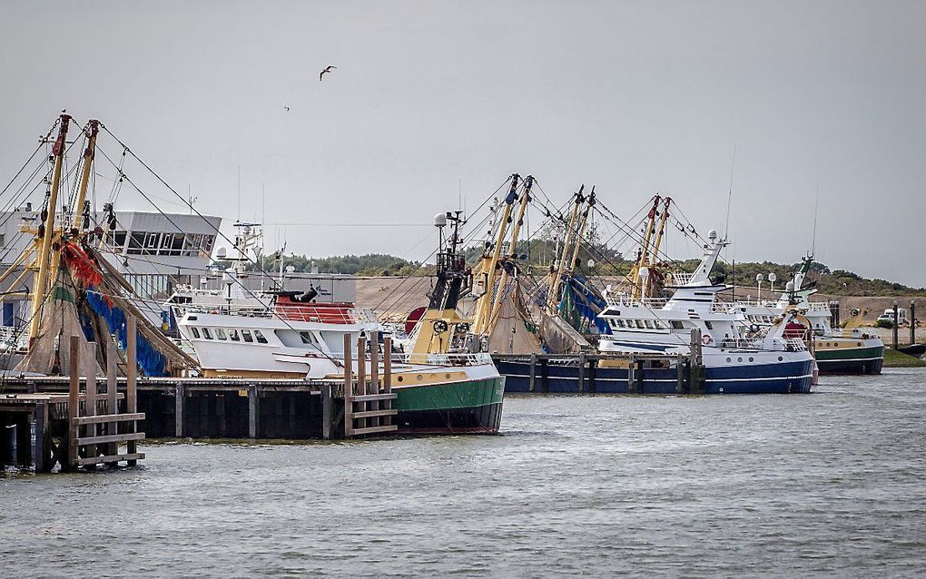 Viskotters in de haven van Stellendam. beeld RD, Henk Visscher