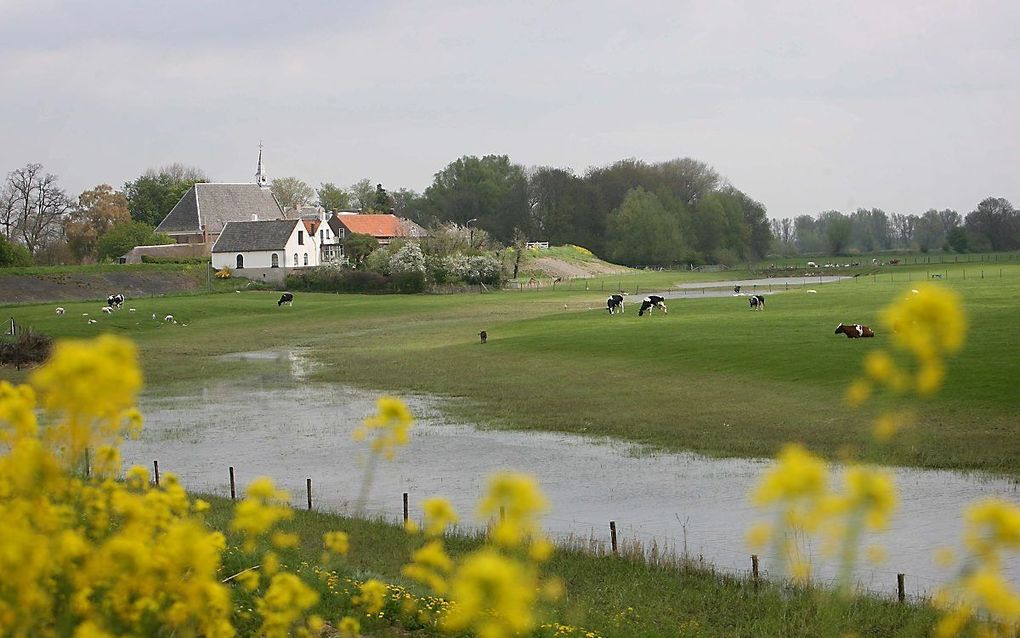 Gezicht op Herwijnen. beeld RD, Anton Dommerholt