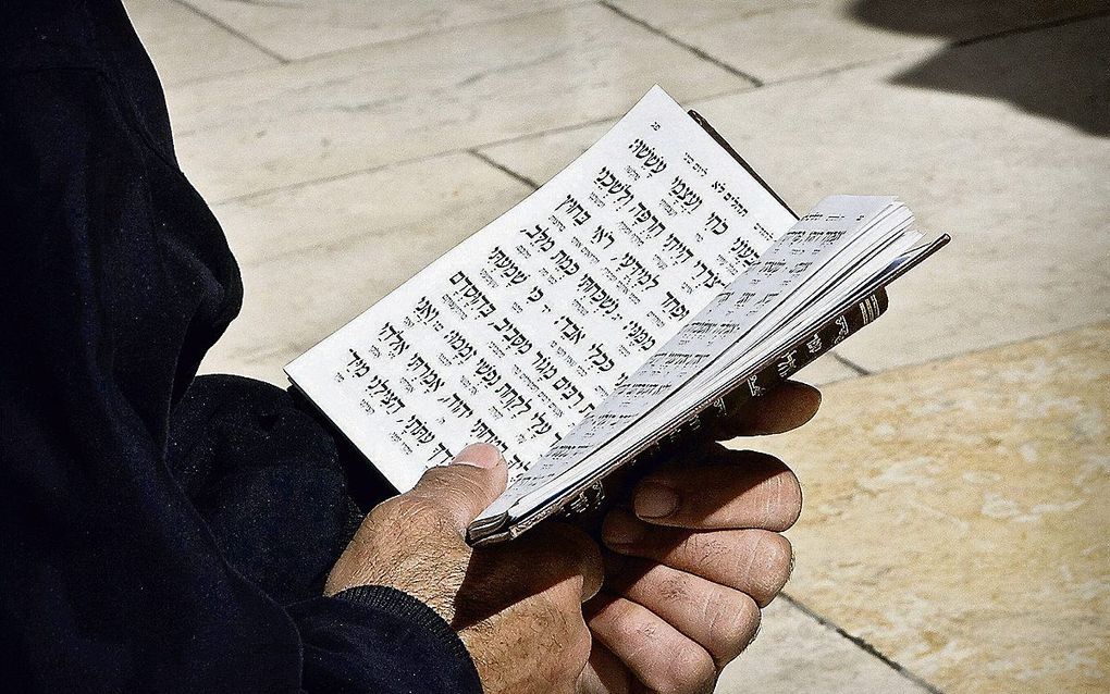 „De 18e-eeuwse Amsterdamse dominee Petrus Curtenius had er geloof voor, op grond van het spreken van het Woord van God: Israël zal ooit zijn oudste Broeder als zijn Zaligmaker erkennen.” beeld RD, Henk Visscher