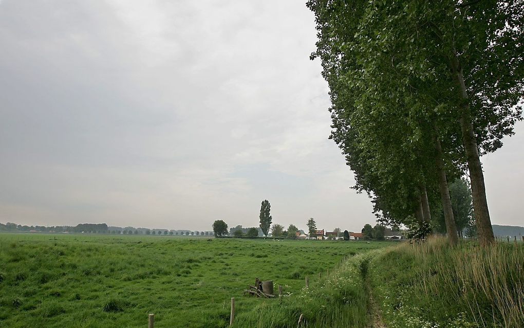 De uitstoot van stikstof vanuit de landbouw naar de lucht is volgens het CBS de afgelopen drie decennia fors afgenomen. beeld RD, Anton Dommerholt