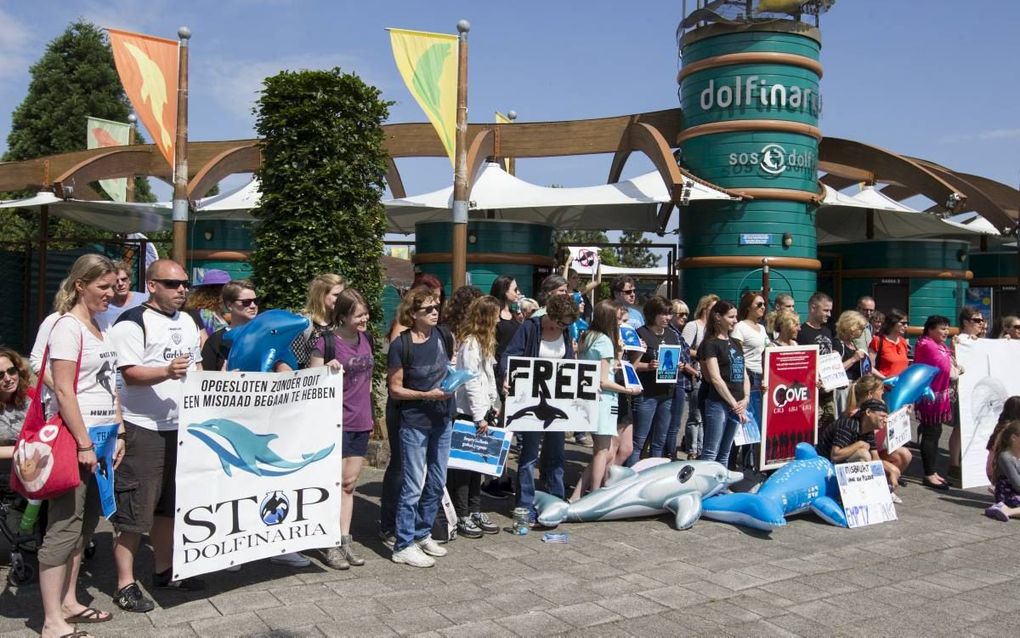 Tientallen mensen hebben gisteren in Harderwijk gedemonstreerd voor de sluiting van het Dolfinarium en het vrijlaten van dolfijnen. beeld RD, Anton Dommerholt