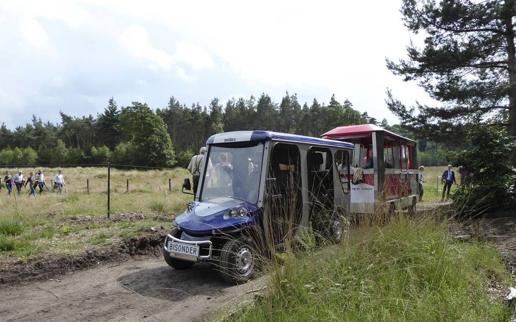 Met een safaritreintje kunnen vanaf morgen excursies worden gemaakt naar het wisentengebied op de heide bij Radio Kootwijk. Voor 12,50 euro per persoon kunnen mensen zich vanuit Kootwijk laten vervoeren naar de Europese bisons. Het is de enige manier om d