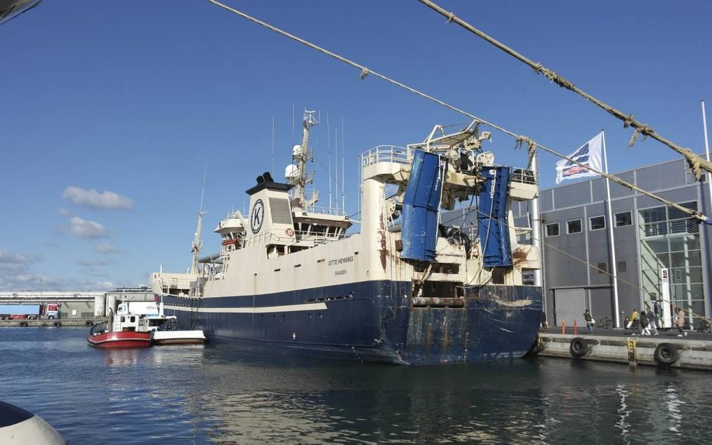 Een trawler lost de vis direct aan de kade bij de fabriek van Skagerrak Pelagid. beeld RD