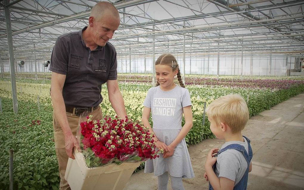 Tuinder Anton van der Hout uit 's-Gravenzande: Doe mij maar een Pool. beeld Gerard ten Voorde