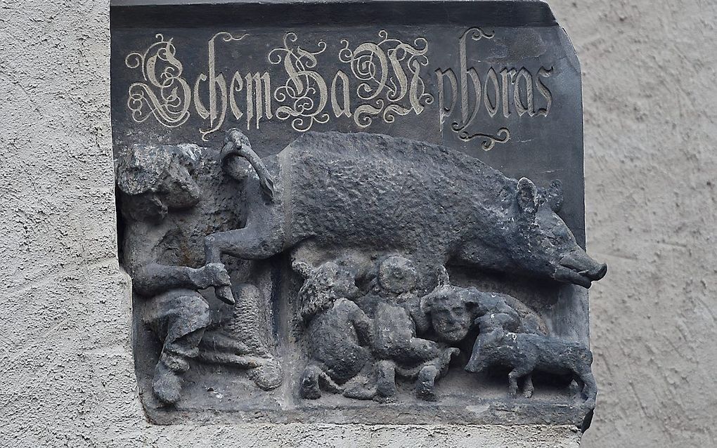 De Jodenzeug op de muur van de Stadskerk in Wittenberg. beeld EPD Jens Schlueter