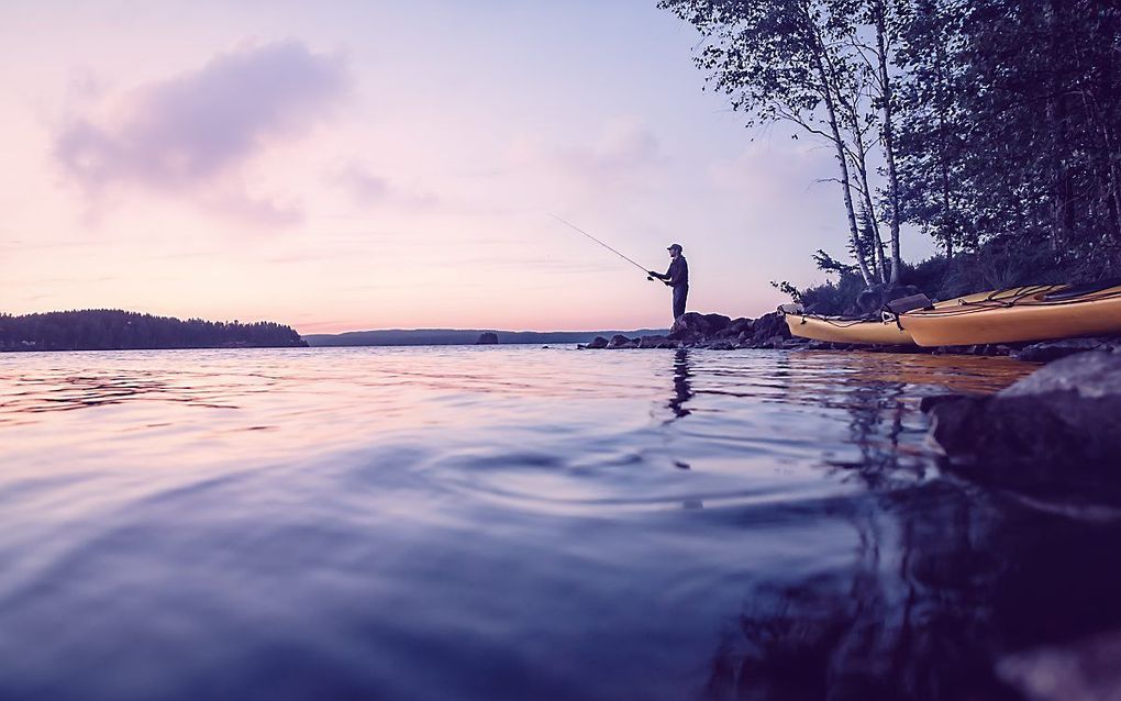 beeld iStock