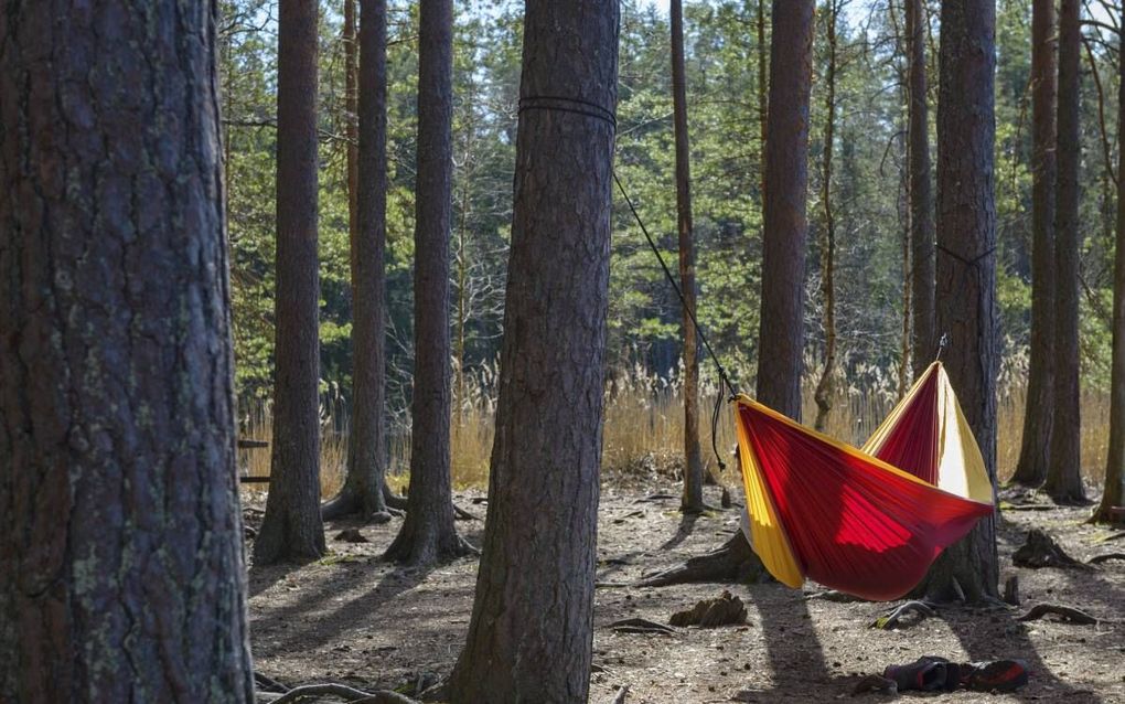 Taalrubriek: Ledigheid is des duivels oorkussen. Of wás het dat?