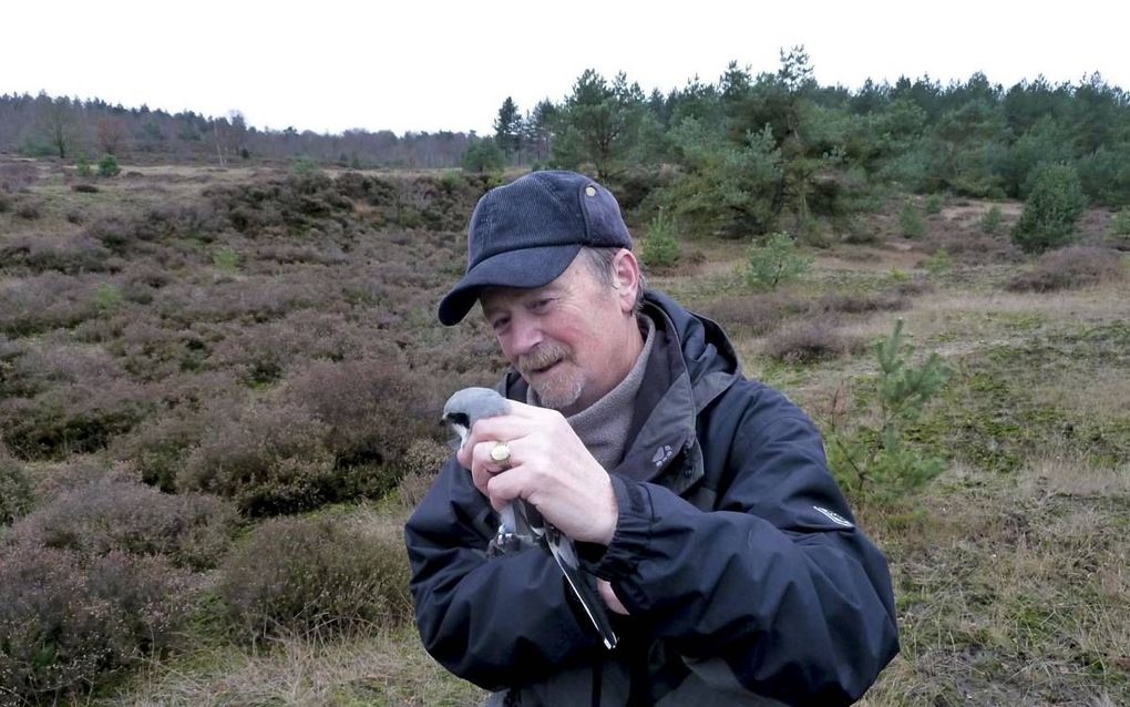 Alle vogelverhalen van Koos van Zomeren gebundeld Alle vogelverhalen van Koos van Zomeren gebundeld