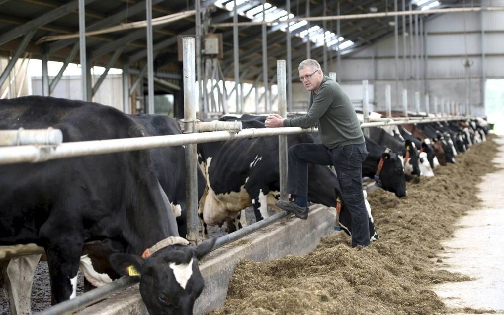 Boer Rosebooms moderne koeienstal staat halfleeg