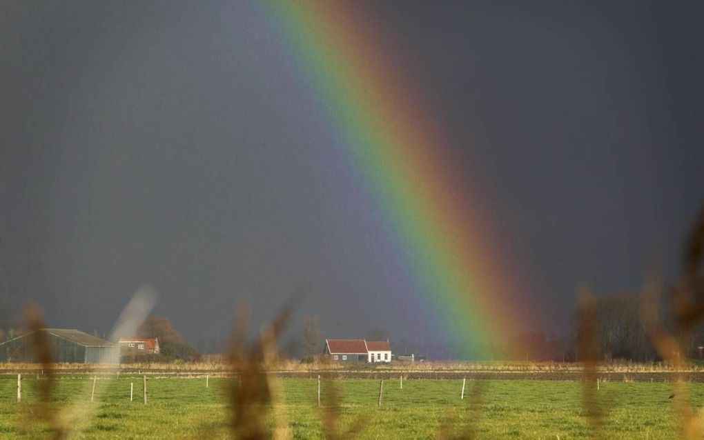 Hoeveel kleuren telt de regenboog?