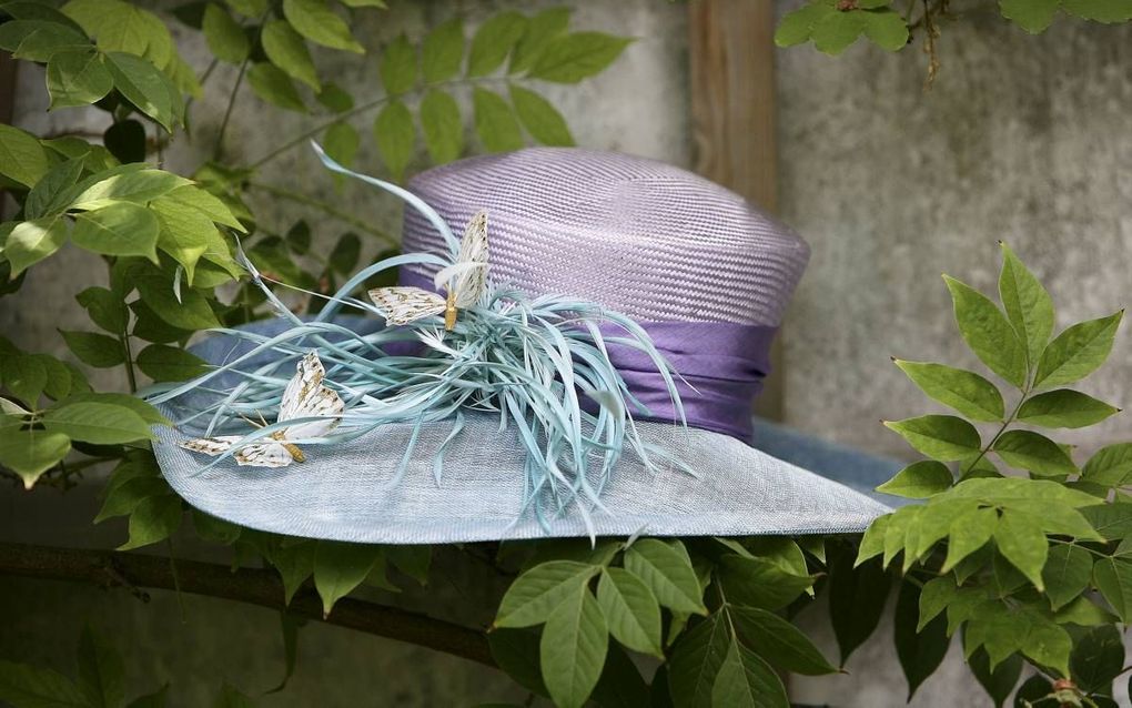 De hoed en het staartje