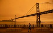 San Francisco kleurt oranje door de bosbranden. beeld Brittany Hosea-Small / AFP
