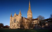 De kathedraal van Salisbury. beeld Wikimedia