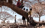 Eritrese kinderen. beeld AFP, Eduardo Soteras