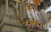 Rugwerk van het Van Hagerbeer/Schnitgerorgel in de Grote Kerk van Alkmaar. beeld Gert de Looze
