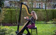 Beroepsmusicus Elsbeth Verheij is blij dat de harp niet alleen een lieflijke, maar ook stoer kant heeft. beeld RD, Henk Visscher