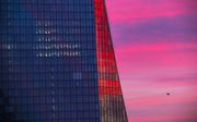 Gerbouw van de ECB in Frankfurt. beeld AFP, Armando BABANI