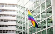 Regenboogvlag bij het stadhuis van Den Haag. beeld ANP, Robin van Lonkhuijsen