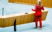 SP-leider Lilian Marijnissen in de Tweede Kamer. beeld ANP BART MAAT