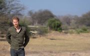 De Britse prins Harry tijdens een bezoek aan Botswana in 2019. beeld EPA, Dominic Lipinski