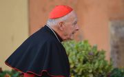 Archieffoto van kardinaal McCarrick. beeld AFP, Vincenzo Pinto