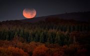 Een roodgekleurde maan, boven Palas de Rei, Galicië, in het noordwesten van Spanje. beeld EPA, Eliseo Trigo