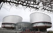 Het hof in Straatsburg. beeld AFP, FREDERICK FLORIN