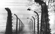 Auschwitz. beeld EPA, Wiener Library