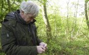 Mycoloog Martijn Oud brengt een harde voorjaarssatijnzwam op naam. beeld Kees van Reenen