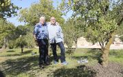 De broers Arie Bruijn (links) en John Bruyn bij de boom die hun moeder in Israël plantte bij Yad Vashem. beeld familie Bruijn