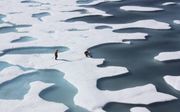 Het ijs in het noordpoolgebied is vooral eenjarig. Het smelt in de zomerperiode volledig weg. Tijdens het wegsmelten vormen zich op het ijs zoetwaterplassen. beeld NASA