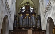 Het Schyvenorgel (1891) in de Antwerpse kathedraal is het grootste orgel van België. beeld RD