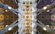Deel van het interieur van de Sagrada Familia. beeld Avda/Wikimedia
