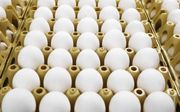 Bij een eierhandel in Doornenburg (Gld.) liggen 200.000 eieren opgeslagen. De eieren worden door de Nederlandse Voedsel- en Warenautoriteit (NVWA) niet vrijgegeven voor consumptie. Uit voorzorg blokkeert de NVWA een aantal bedrijven waar een behandeling i