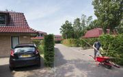 Bungalowpark De Verrassing, dat in 1955 in Oosterend werd gestart, biedt naast enkele chalets ook 8- en 10-persoons bungalows aan. beeld RD, Anton Dommerholt