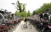 „De herenfiets met hoge stang verdwijnt. Ook de fiets moet genderneutraal worden.” beeld iStock