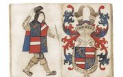 Op de eerste bladzijden van het Wapenboek Nassau-Vianden staan een heraut van de familie en het wapenschild Nassau-Vianden. De blauwe vlakken met leeuw zijn van Nassau, de vlakken met rood-wit-rood van Vianden, een –nu in Luxemburg gelegen– graafschap dat