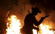 Brandweerman Trevor Smith probeert een brandhaard te doven bij Calistoga.  beeld AFP, Justin Sullivan