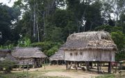 In ”Het verborgen dorp” vlucht David naar een dorp in het oerwoud van Suriname.