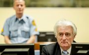Veertig jaar cel voor Karadzic. beeld ANP, Robin van Lonkhuijsen