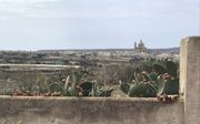 Uitzicht over het eiland Gozo.               beeld RD