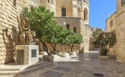 „Voor Israël was de ideale koning geen veroveraar, maar een rechtvaardig mens, die zich niet verhief boven zijn medevolksgenoten.” Foto: standbeeld van koning David in Jeruzalem. beeld iStock