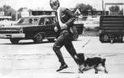 Senator Robert Kennedy een kleine maand voordat een schutter hem vermoordde. Kennedy hield zich tijdens de campagne voor de presidentsverkiezingen fit door met zijn hond Freckles rondjes te rennen. beeld ANP