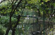 De Japanse brug in de tuin van Claude Monet in het Franse Giverny. beeld iStock